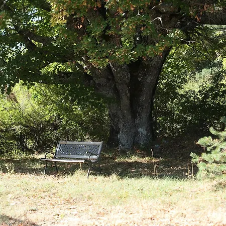 La Grisonne - Camus Revest-du-Bion