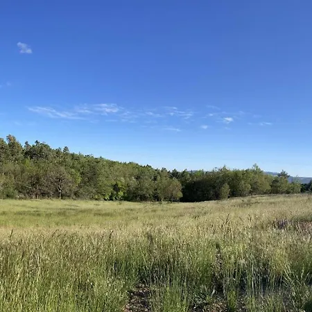 La Grisonne - Camus *