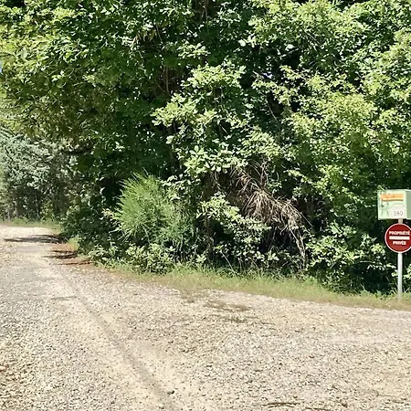 La Grisonne - Camus Revest-du-Bion