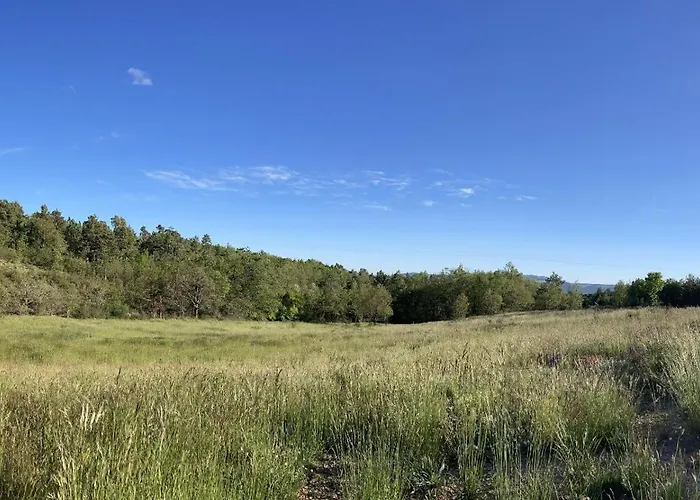 La Grisonne - Camus 3*