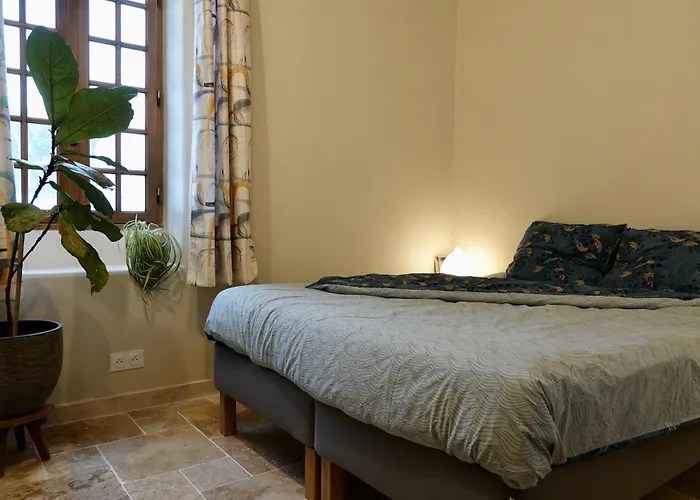 La Grisonne - Camus Revest-du-Bion