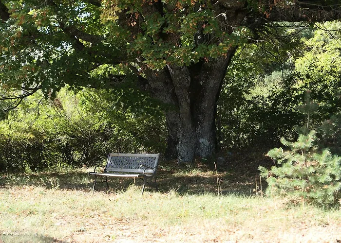 La Grisonne - Camus Revest-du-Bion